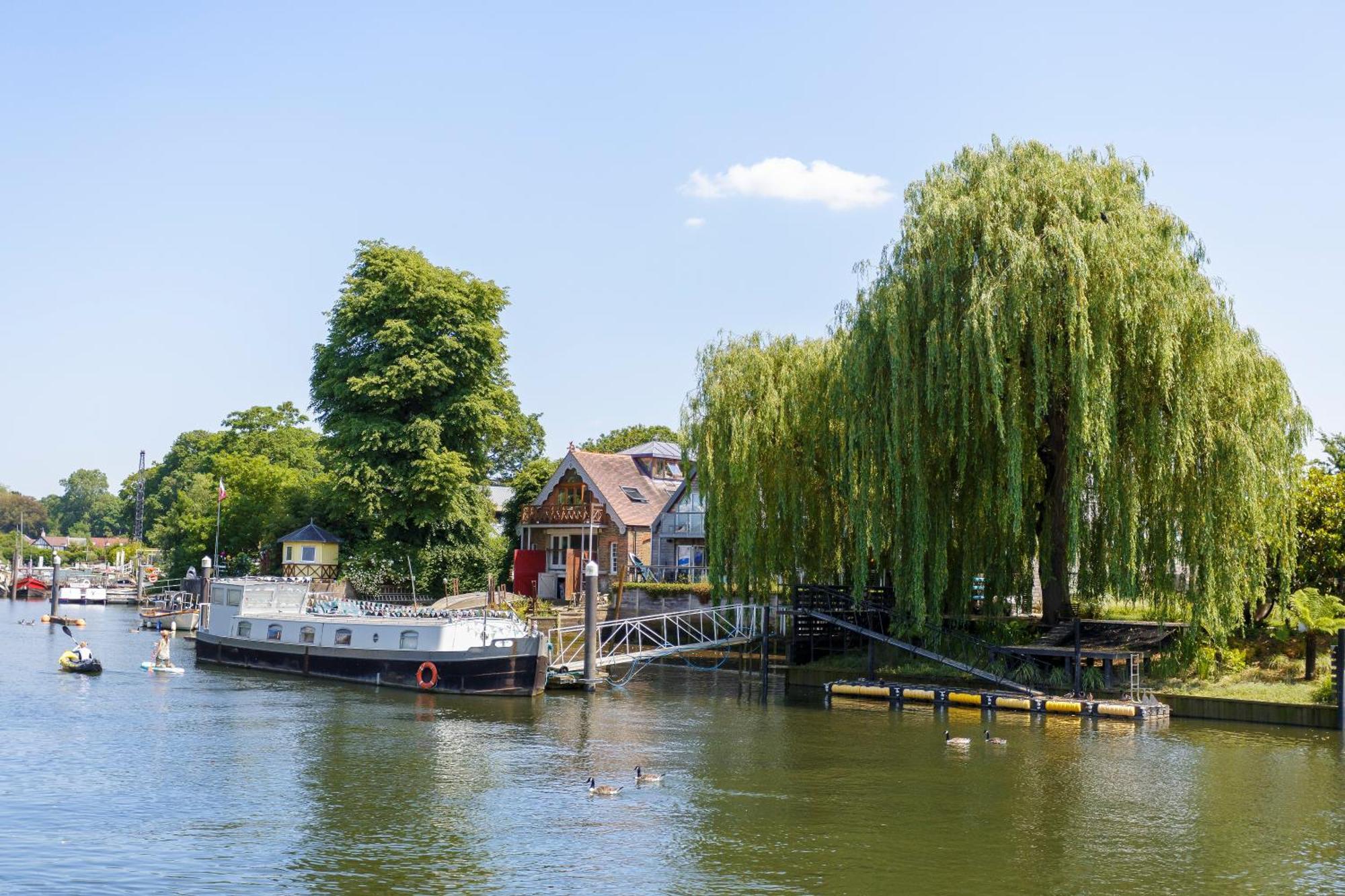 Apartment Eel Pie Retreat Twickenham